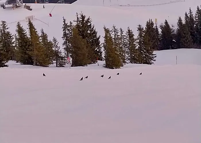 아파트 Fuchs Alm *