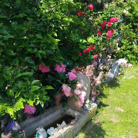 Fuchs Alm Apartament Itter