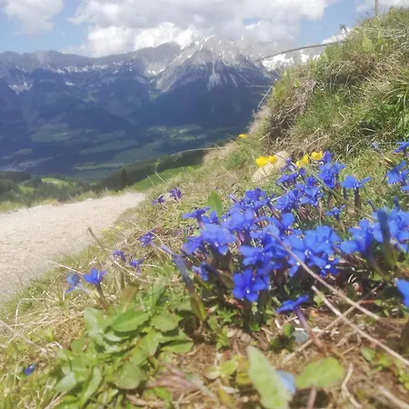 Fuchs Alm Itter