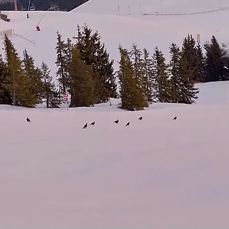 Apartament Fuchs Alm *