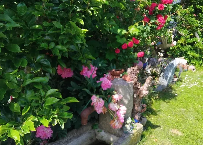 Fuchs Alm Apartament *