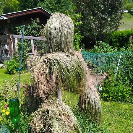 Fuchs Alm Appartement