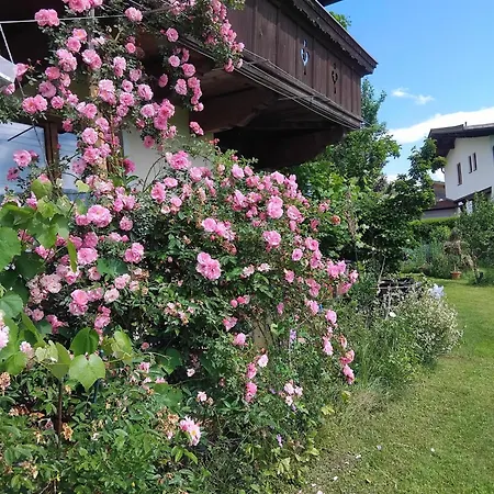Lägenhet Fuchs Alm Itter