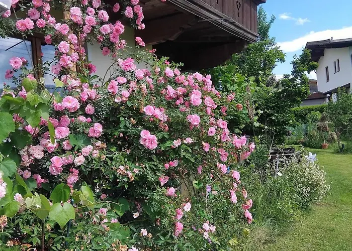 Appartement Fuchs Alm Itter